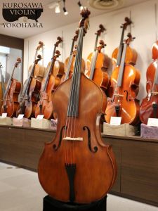 Gliga Gems II Violin Shape/Flat Back【#230622】 | 【クロサワ