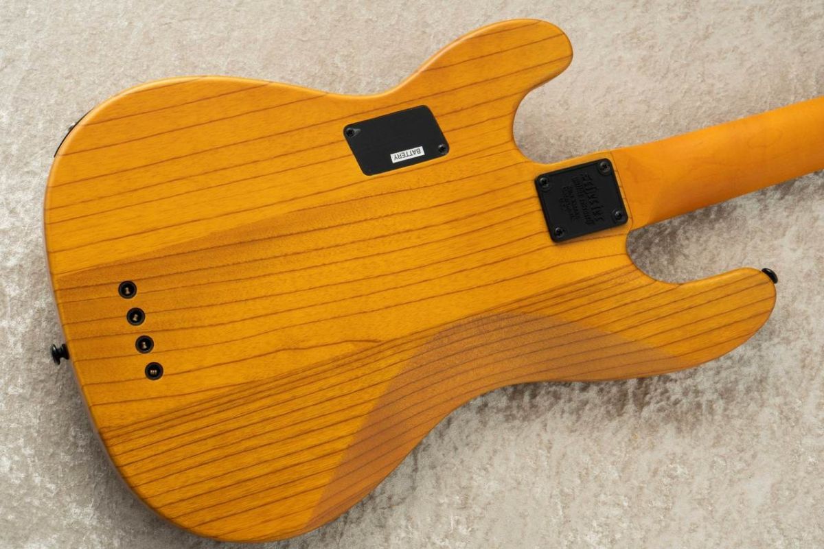 ベース mt. ATELIER Z 【入荷待ち、ご予約受付中】 Beta6 MT Custom [Mutsumi