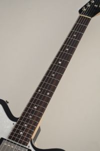 ギター BD-2 FREEDOM CUSTOM GUITAR RESEARCH 
mod FREEDOM CUSTOM GUITAR RESEARCH Shaker L.W.Ash2P/R Black