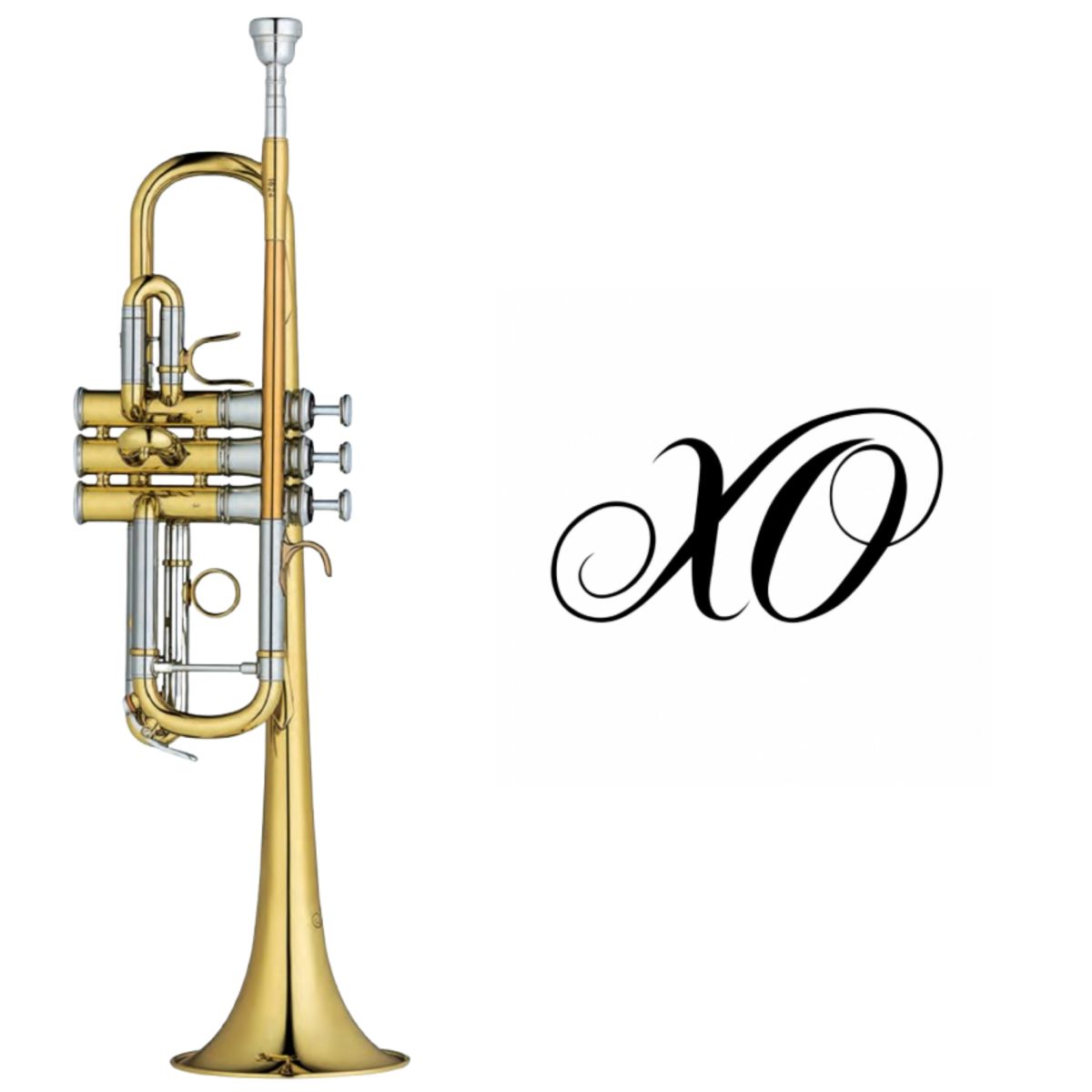 1624L【新品】 | 【クロサワ楽器店オンラインショップ】いい楽器との