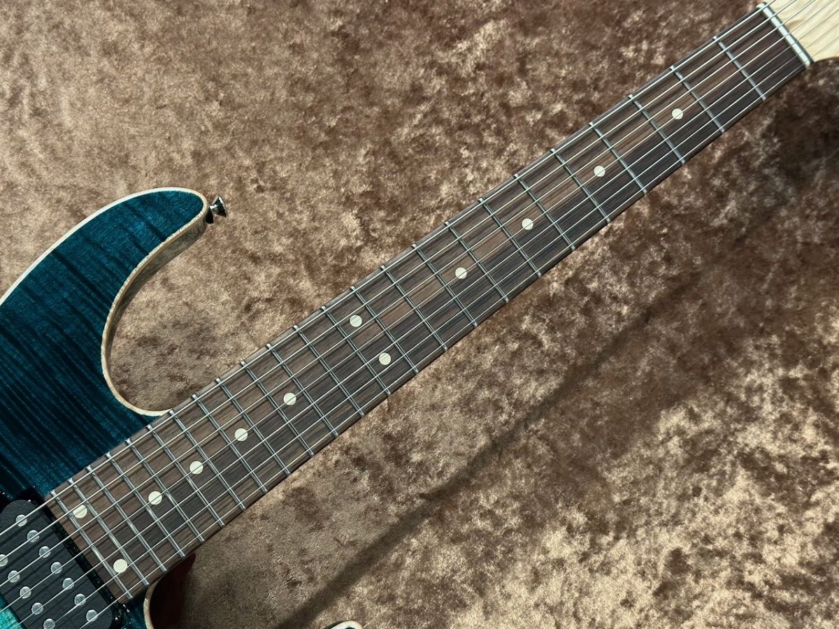 ESP LTD Alex Wade XJ EverTune Baritone Electric Guitar Open