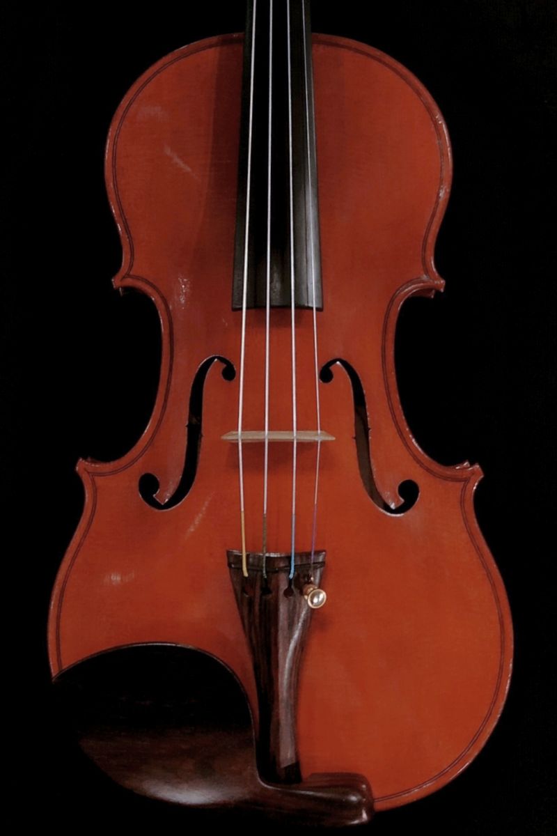 パイオリン Franco Albanelli 1995 | 【クロサワ楽器店オンラインショップ】いい