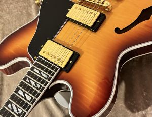 ES Supreme Bourbon Burst sn220440255 | 【クロサワ楽器店オンライン