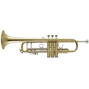 大幅値下げ極美品 Bachトランペット180MLV72GL 大幅値下げ極美品 Bachトランペット180MLV72GL 楽器・機材