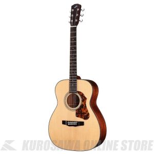 Morrisのアコースティックギター検索結果一覧 | 【クロサワ楽器