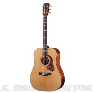 MorriS アコースティックギター grun-sound_z080s230224