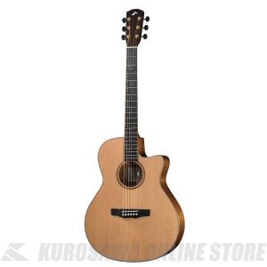 Morris、10万円～20万円未満のアコースティックギター検索結果