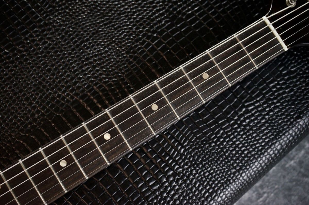 Marianna Standard / 2Tone Burst by Carlos Lopez | 【クロサワ楽器店