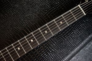 Marianna Standard / 2Tone Burst by Carlos Lopez | 【クロサワ楽器店