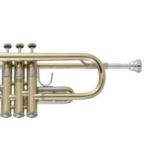 190ML37GL【新品】 | 【クロサワ楽器店オンラインショップ】いい楽器と