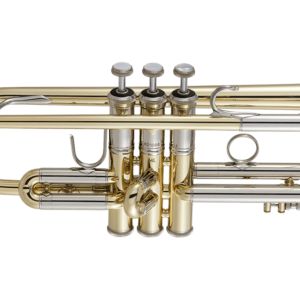 190ML37GL【新品】 | 【クロサワ楽器店オンラインショップ】いい楽器と