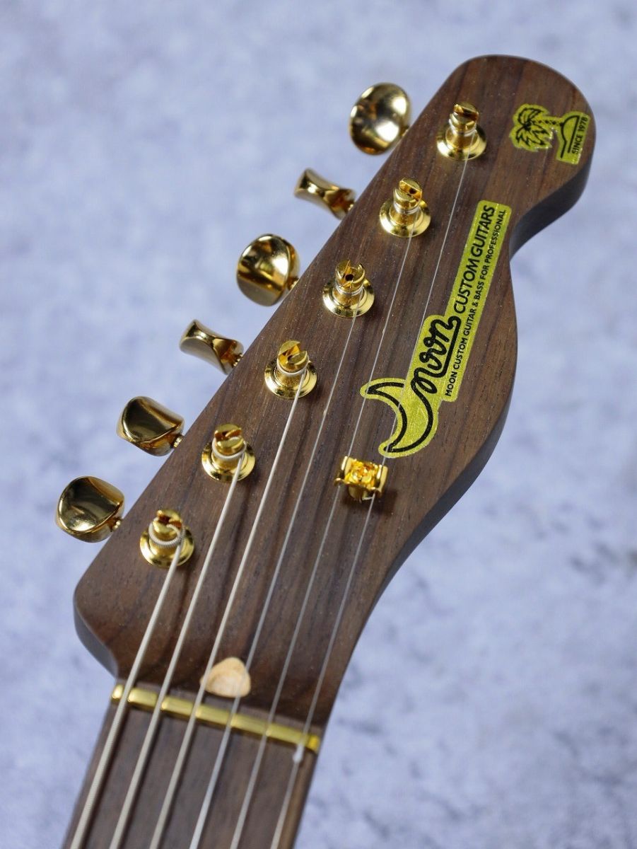 TE-C Rosewood 1Piece Neck ~Lake Pracid Blue~ #58956