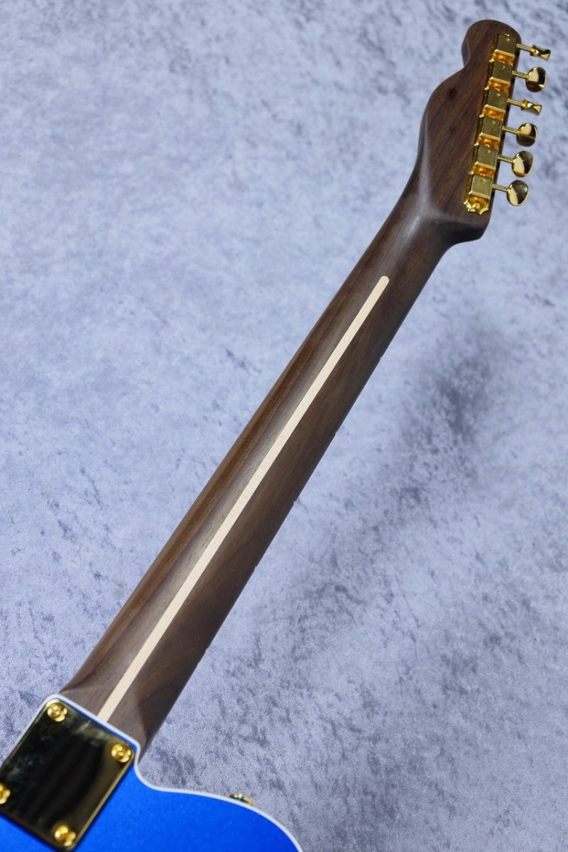 TE-C Rosewood 1Piece Neck ~Lake Pracid Blue~ #58956