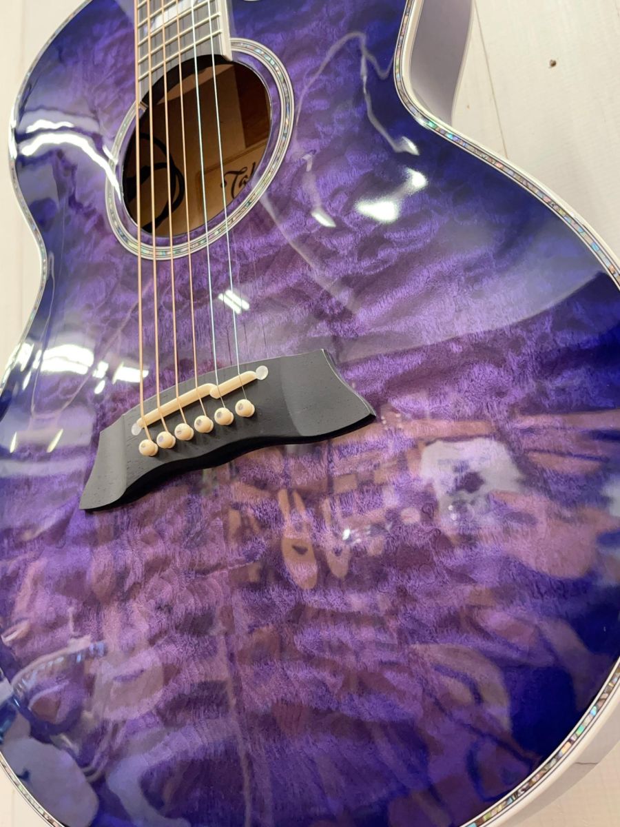 Takamine アコースティックギター PINGペグ装備 シングルカッタ