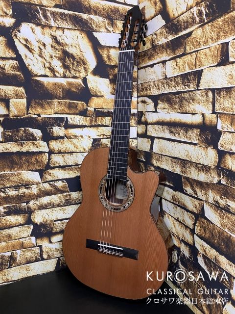 Orpheus Valley Guitars 7弦ギターF65CW-7Sほぼ新品 オルフェウス・ヴァレー・ギターズ Model:F65CW-7S | 【クロサワ