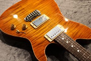 Custom Order DS496SR ECM-40th H.Maho Burst Color #S230174