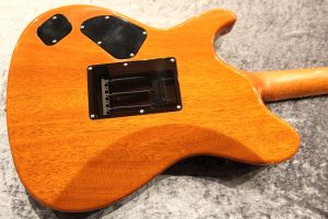 Custom Order DS496SR ECM-40th H.Maho Burst Color #S230174