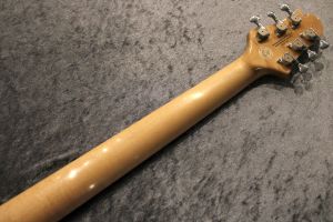 20th Anniversary Limited Logo DH496C POP/TT/H-MAHO Royal
