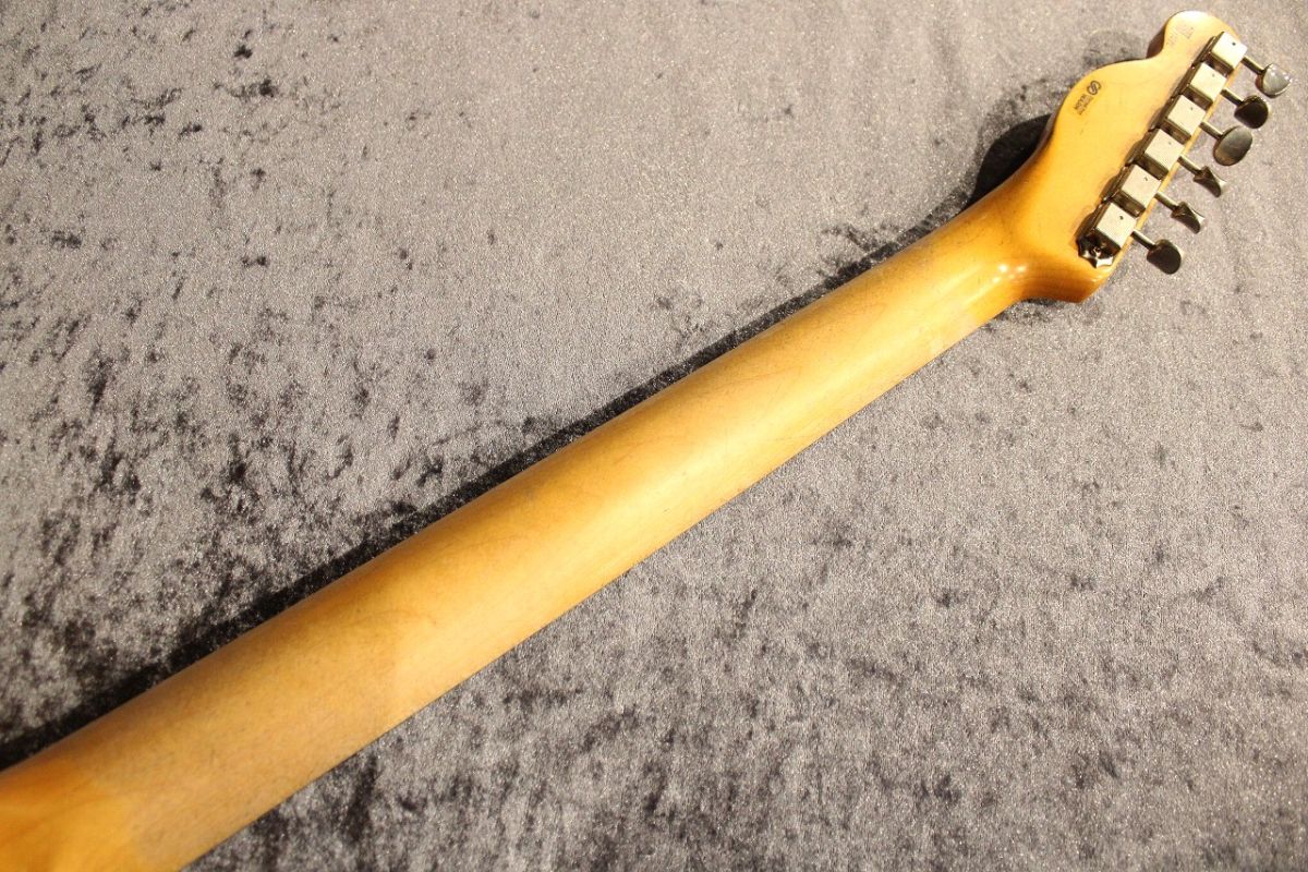 Custom Order R.S.TE Ash/Rose All Lacquer Relic / Aged Blonde