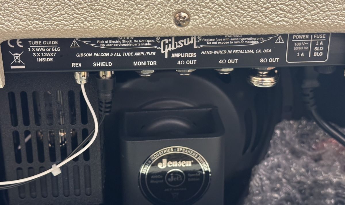 Falcon 5 1x10 Combo Amp | 【クロサワ楽器店オンラインショップ】いい