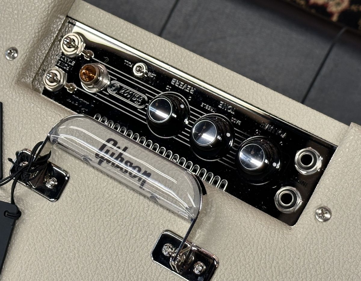 Falcon 5 1x10 Combo Amp | 【クロサワ楽器店オンラインショップ】いい