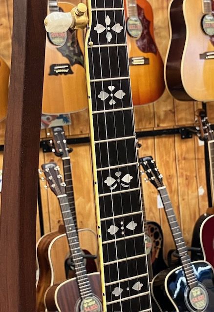 De Luxe The Golden Guitar アコースティックギター De Luxe The Golden Guitar アコースティックギター