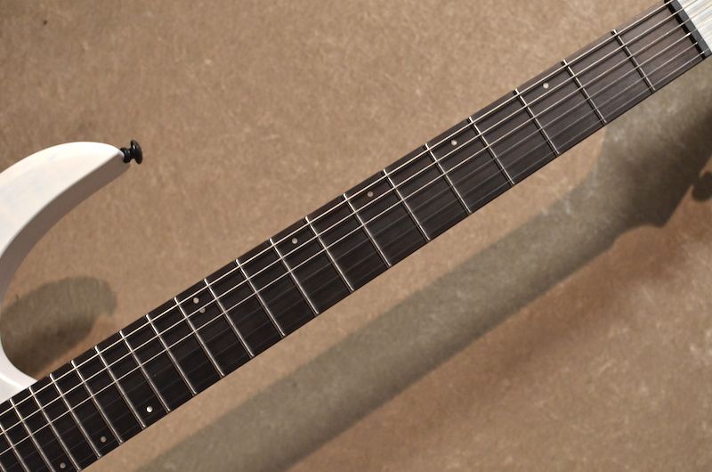 Diablo Standard with Evertune Bridge ～Satin Trans White