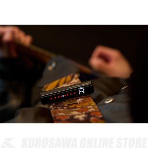 Pitchstrap PST-1 SV | 【クロサワ楽器店オンラインショップ】いい楽器