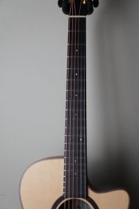 S-101M 南澤大介 Signature Model | 【クロサワ楽器店オンライン