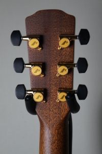 S-101M 南澤大介 Signature Model | 【クロサワ楽器店オンライン