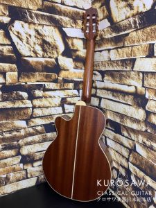 TAKAMINE P3FCN エレガットギター美品 501e75df-8b08-4e34-b486-