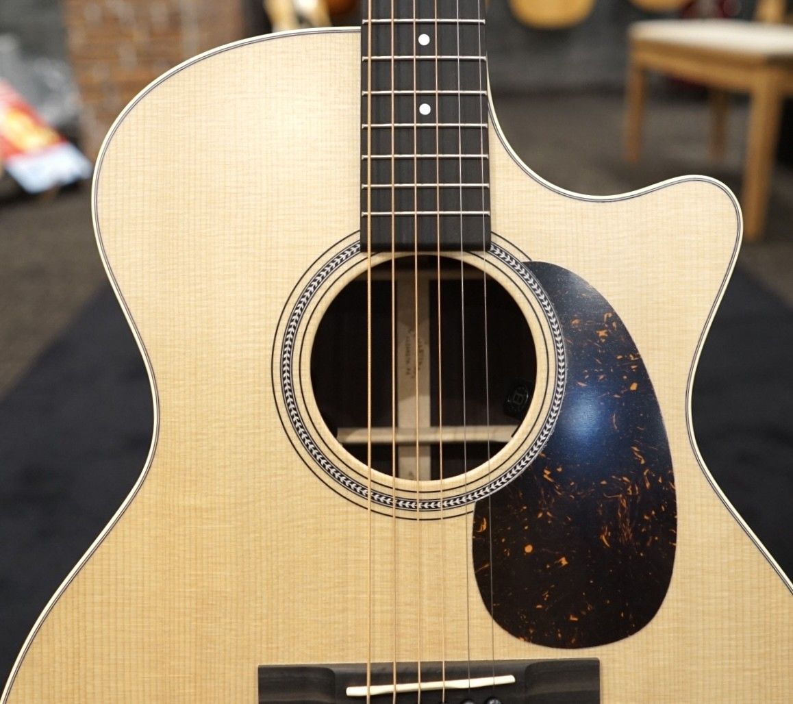 GPC-16E Rosewood #2902616 | 【クロサワ楽器店オンラインショップ