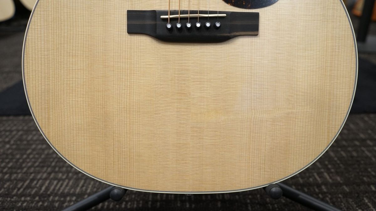 GPC-16E Rosewood #2902616 | 【クロサワ楽器店オンラインショップ