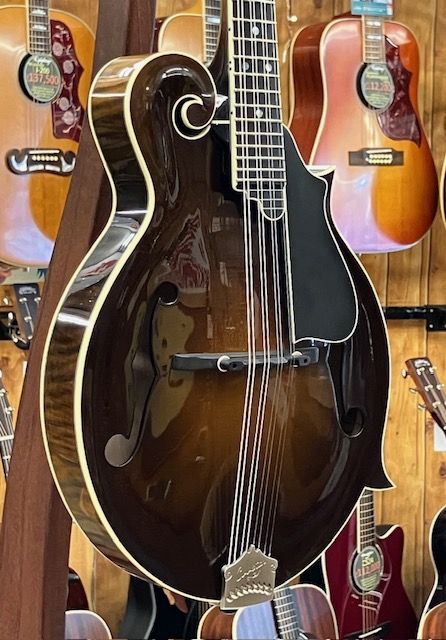 Cooster CS-F5S Icelandic Brown #240027 | 【クロサワ楽器店