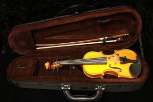 ビオラ　Gliga GEMS　16インチ Gliga Gems | 【クロサワ楽器店オンラインショップ】いい楽器と