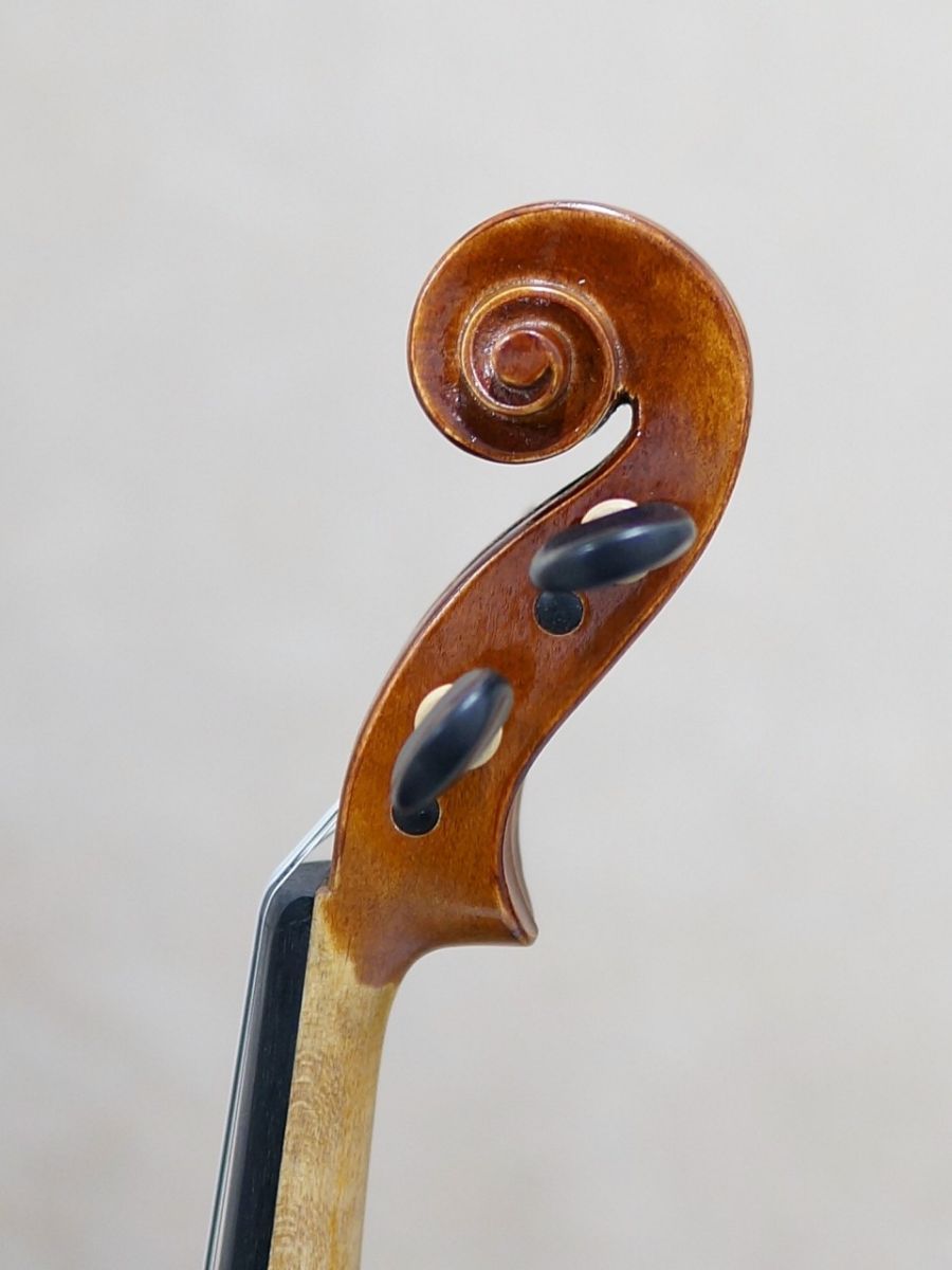 弦楽器 Roderich Paesold PA803J Roderich Paesold PA803J | 【クロサワ楽器店オンラインショップ