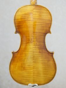 ヴァイオリン　paesold Roderich Paesold PA804J | 【クロサワ楽器店オンラインショップ