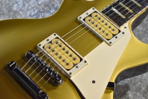 LS-50 Reborn OLD Gold Top | 【クロサワ楽器店オンラインショップ