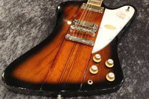 Epiphone、スルーネックのエレキギター検索結果一覧 | 【クロサワ楽器 