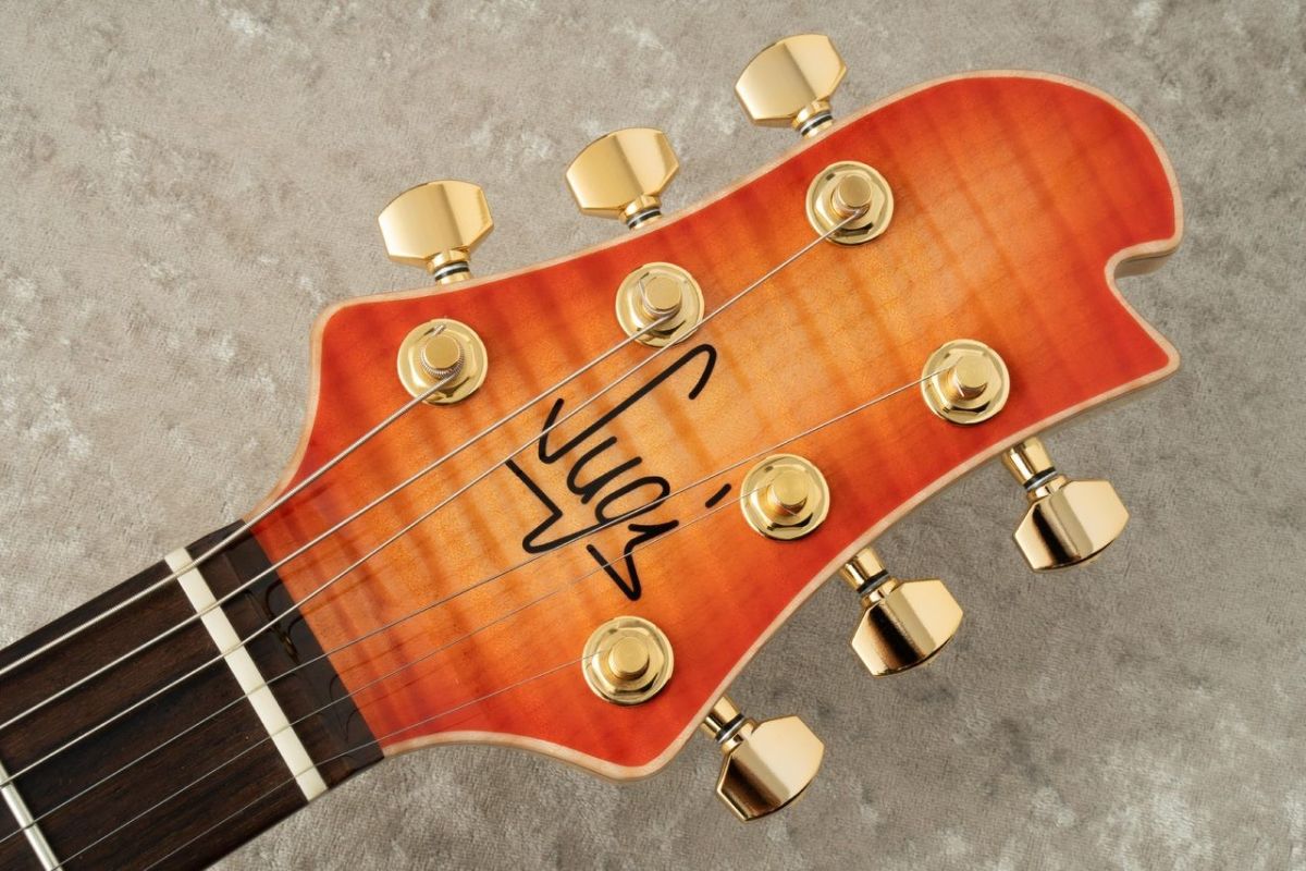 Standard Series DS496IR FM-EX/HM/ASH -Aged Red Burst / ARB