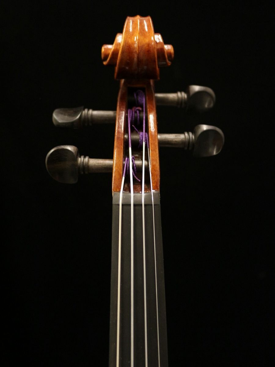 Gliga Genial 1/2サイズ | 【クロサワ楽器店オンラインショップ】いい