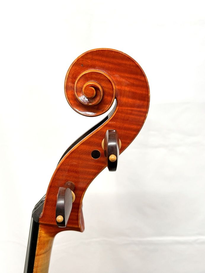 【直接引き取り限定】チェロ Francesco Bissolotti 2003年 Montagnana (フランチェスコ