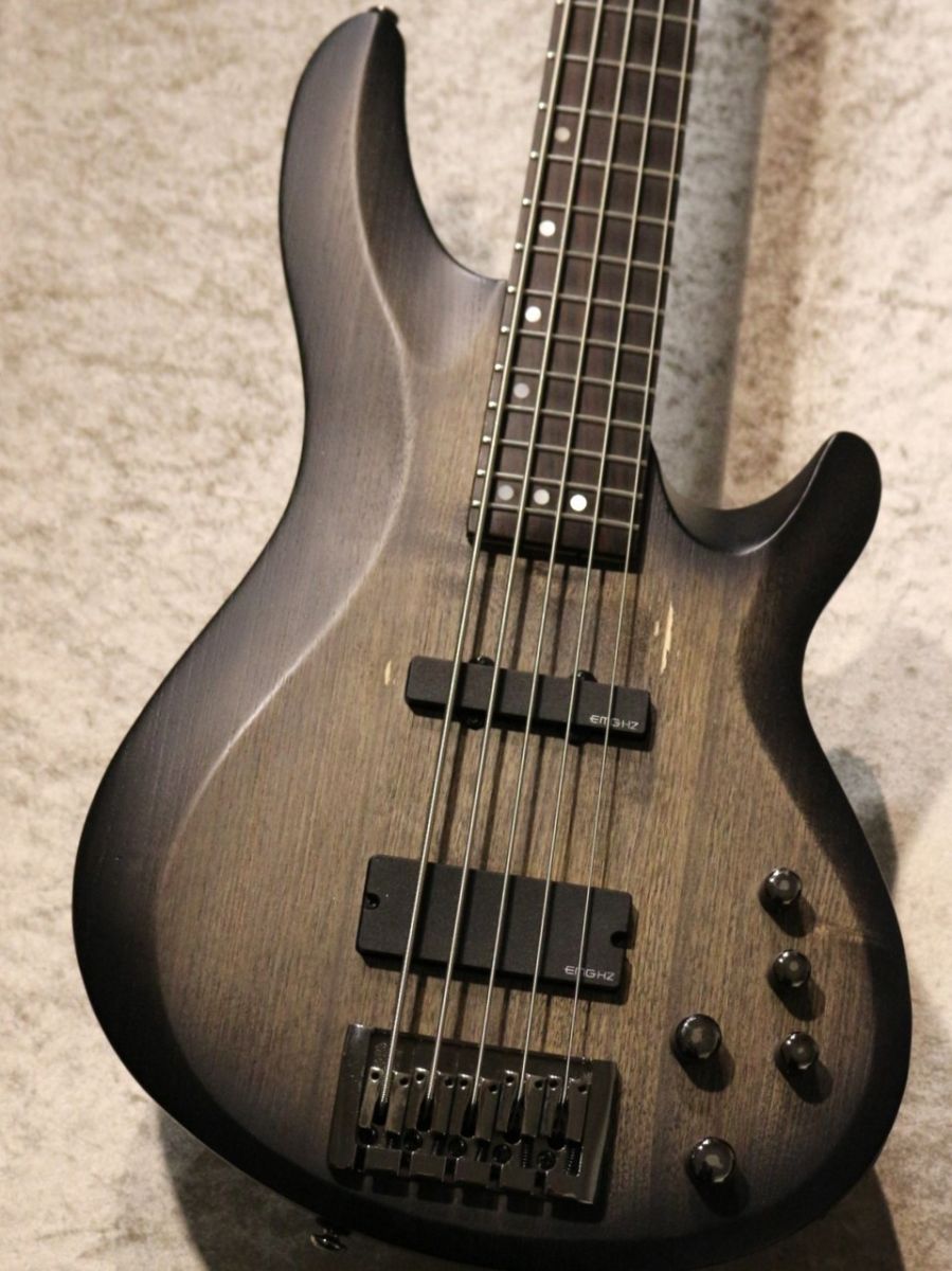 Diamond Series C-5 Custom | 【クロサワ楽器店オンラインショップ 
