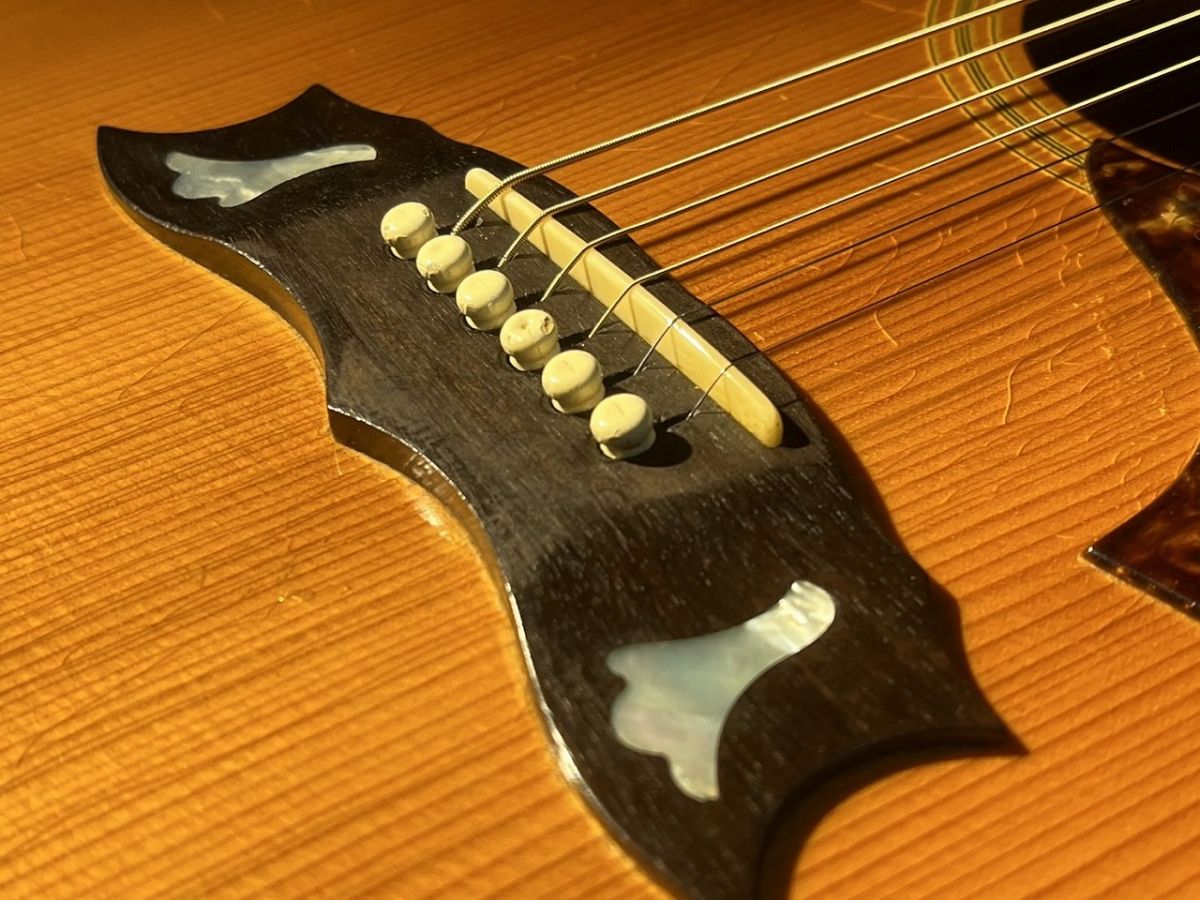 Dove Custom Cherry Sunburst 1970s | 【クロサワ楽器店オンライン