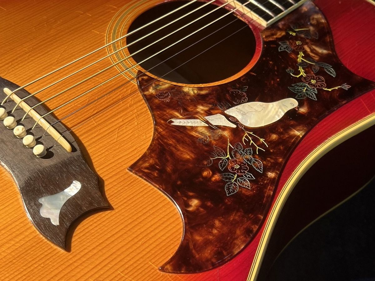 Dove Custom Cherry Sunburst 1970s | 【クロサワ楽器店