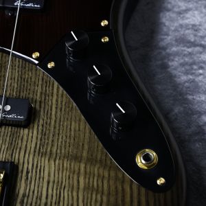 WOODLINE4 JINDAI 30th Anniversary/Z - Black Burst Mat