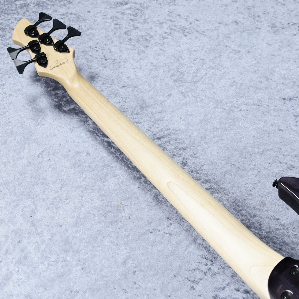 Atlas 5Strings - Black Burst - | 【クロサワ楽器店オンライン 