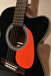 Amazon | Morris (モーリス) エレクトリック アコースティック