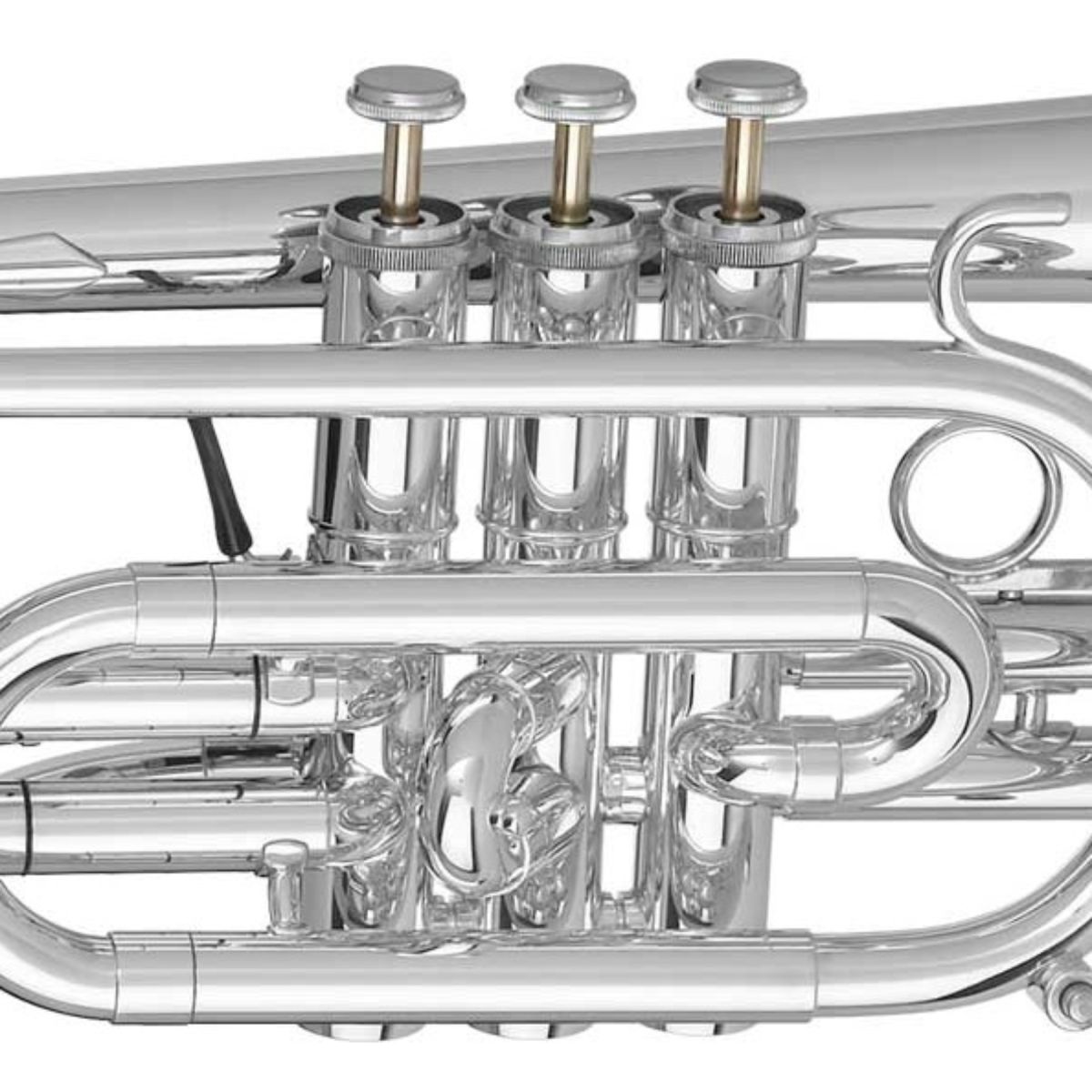 勇奏の楽士　コルリーノ　４枚セット グラスセット・RIEDEL Vinom×2 ギフトボックス – 和歌山湯浅