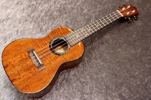 KUMU CG-55A コンサートウクレレ　ほぼ未使用　ワース弦 KUMU CG55A ウクレレ コンサートハイグロス クム | 島村楽器